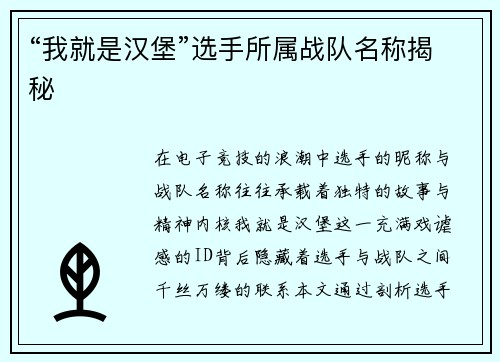 “我就是汉堡”选手所属战队名称揭秘