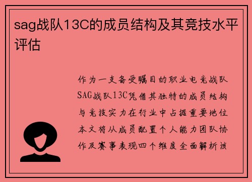 sag战队13C的成员结构及其竞技水平评估