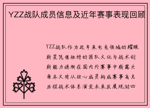 YZZ战队成员信息及近年赛事表现回顾